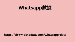 沙特阿拉伯 WhatsApp 號碼數據