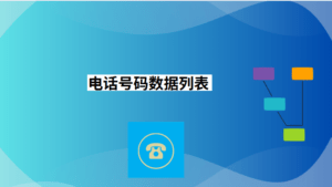 电话号码数据列表